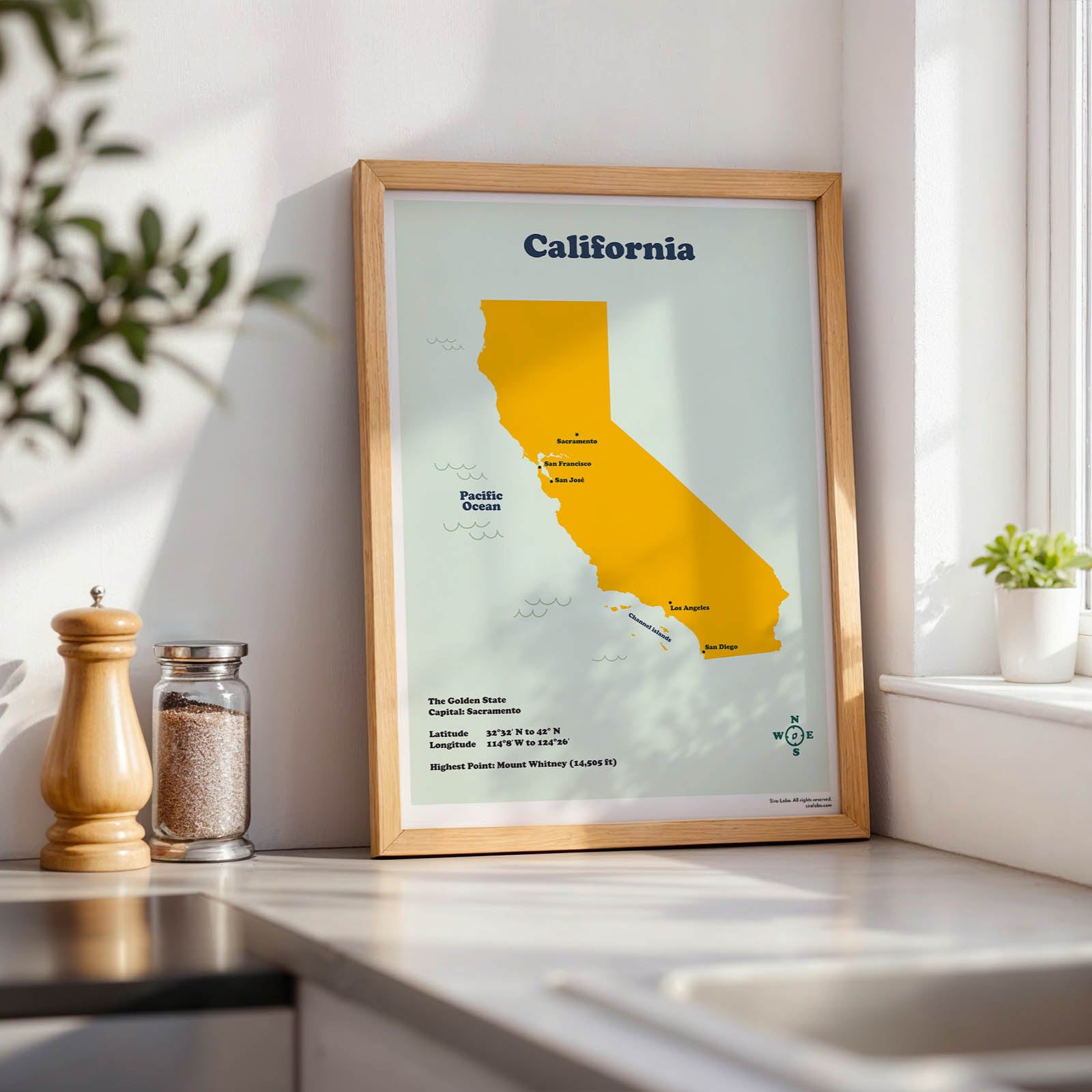 Framed map of California on a kitchen counter with plants and a window in the background