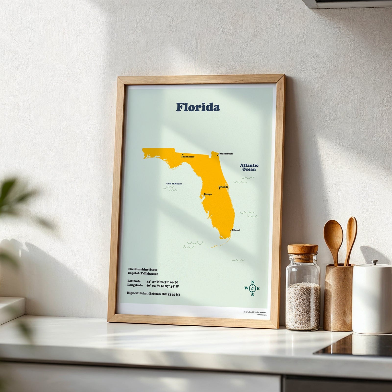 Framed map of Florida on a kitchen counter with plants and jars in the background