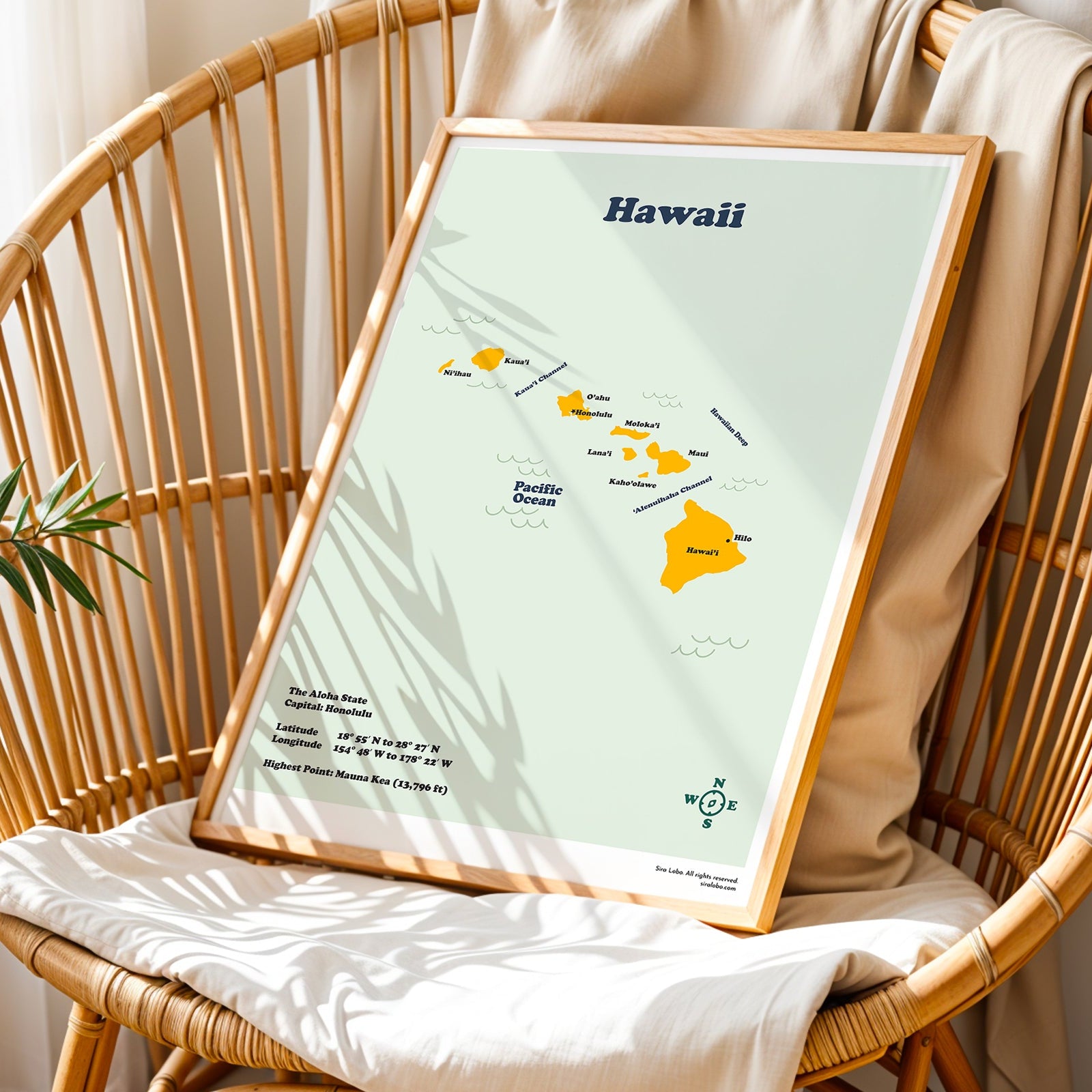 Framed map of Hawaii on a wicker chair with a plant in the corner
