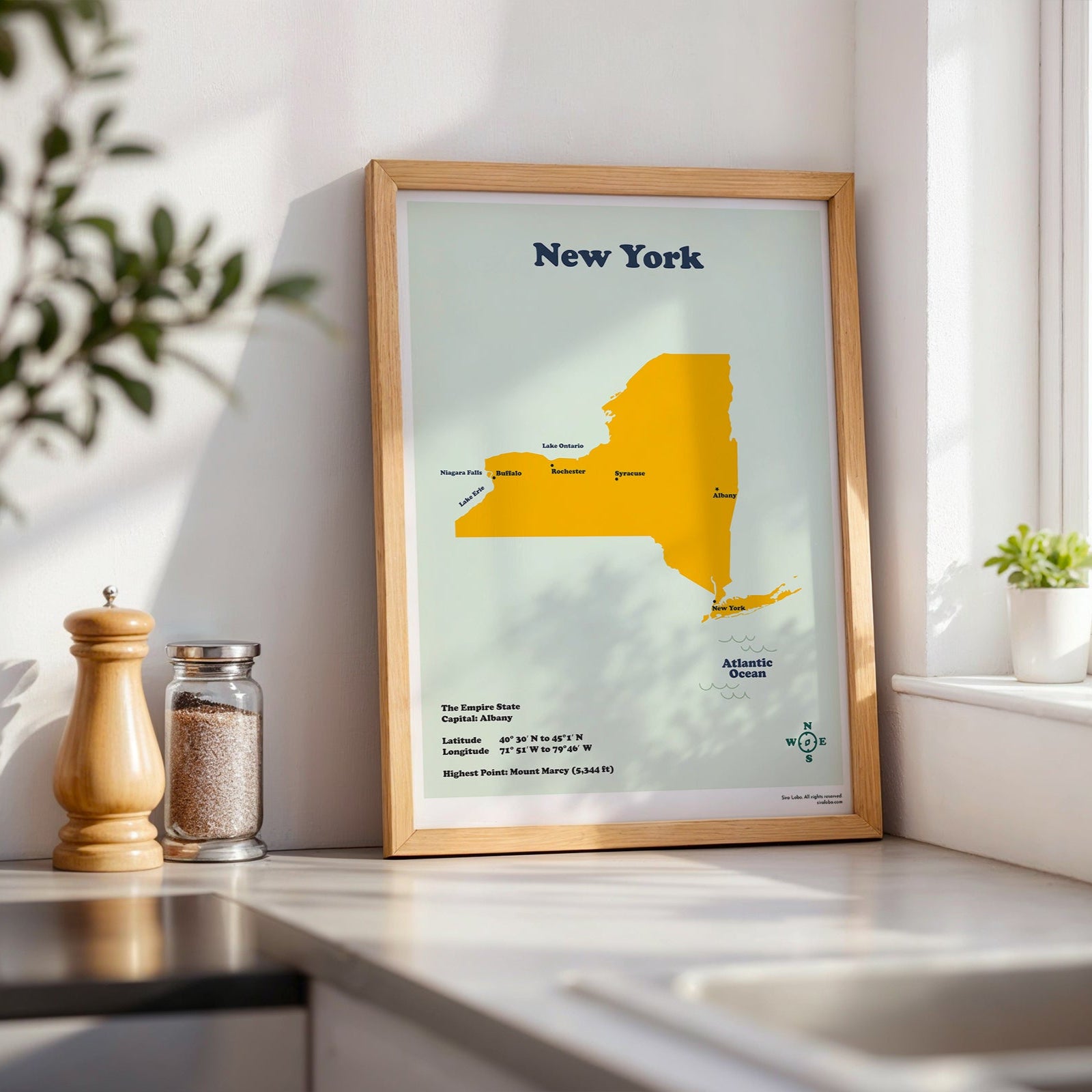 Framed map of New York on a kitchen counter with plants and a window in the background