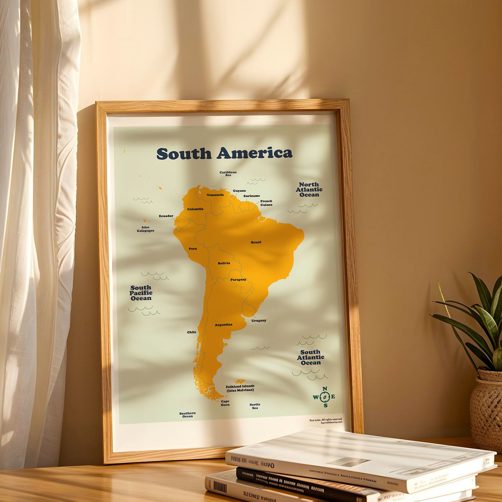 Framed map of South America on a wooden shelf with books and a plant.