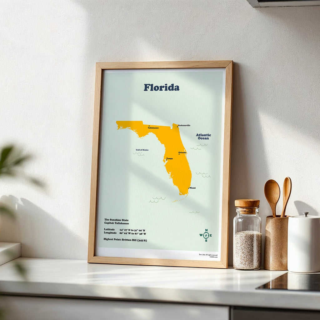 Framed map of Florida on a kitchen counter with plants and jars in the background